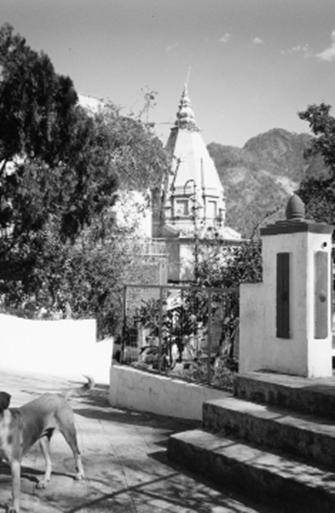 Achteraanzicht van de Vishvanaath mandir, de tempel van de Heer van het heelal